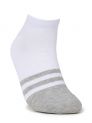Live Fit Men's Cotton Anklets Socks