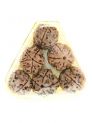 Rudraksha Water Beads