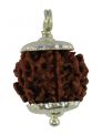 7 Mukhi Silver Cap Rudraksha