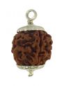 6 Mukhi Silver Cap Rudraksha