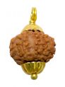9 Mukhi Java (Golden Cap)