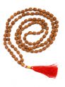 4 Mukhi Rudraksha 