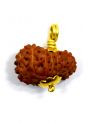16 Mukhi Rudraksha