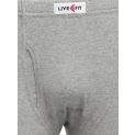 Live Fit Innerwear Trunk Light Grey