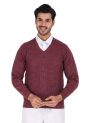 Sanskar Menswear-Sweater F/S-Onion