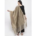 Aastha Women Indowestern Dupatta Beige