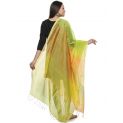 Aastha Women Indowestern Dupatta Yellow