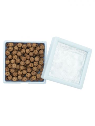 Rudraksha Beads (For Making In Gold And Silver)