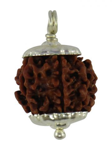 7 Mukhi Silver Cap Rudraksha