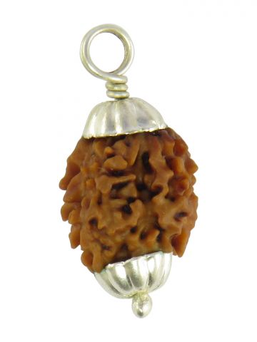 2 Mukhi Rudrakasha (Silver Cap)