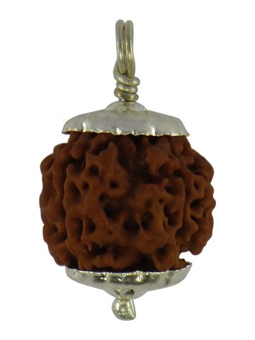 4 Mukhi Silver Cap Rudraksha