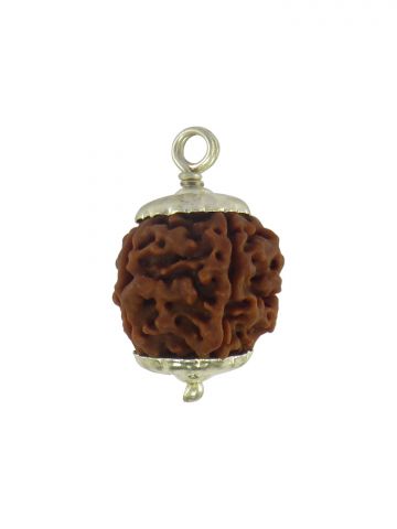 5 Mukhi Rudraksh  With Cap