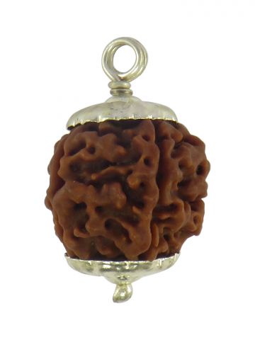 6 Mukhi Silver Cap Rudraksha