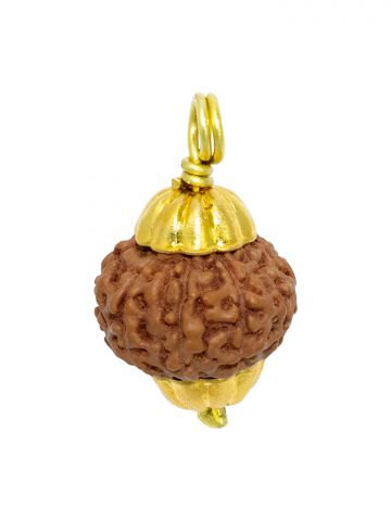 10 Mukhi Java (Golden Cap)