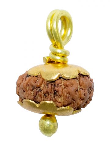 13 Mukhi Java (Golden Cap)