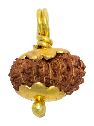 14 Mukhi Java (Golden Cap)