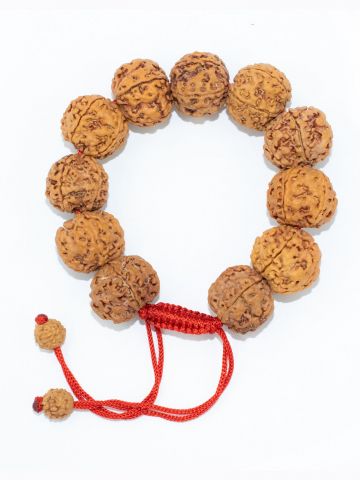 Rudraksha Energy Bracelet (Adjustable)