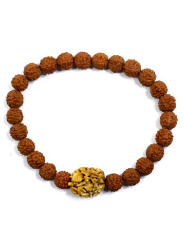 2 Mukhi Rudraksha