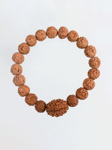 3 Mukhi Rudraksha