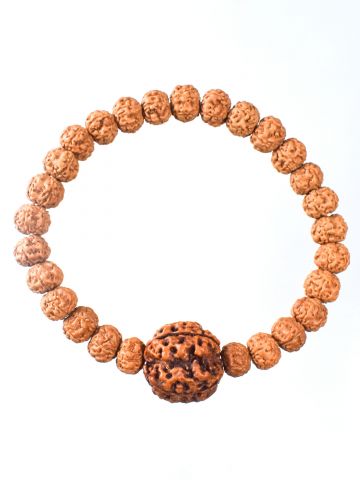 4 Mukhi Rudraksha