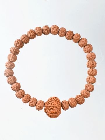 7 Mukhi Rudraksha