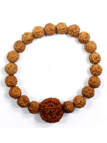 8 Mukhi Rudraksha