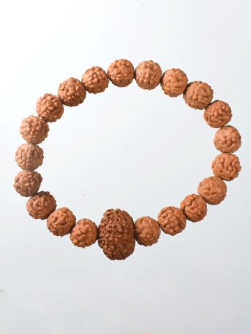 10 Mukhi Rudraksha