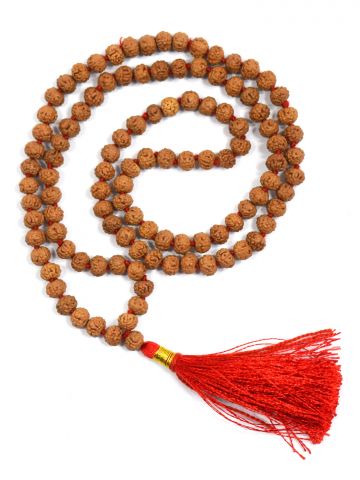 6 Mukhi Rudraksha Mala