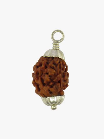 3 Mukhi Rudraksha (Nepali)