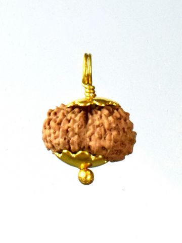 15 Mukhi Rudraksha