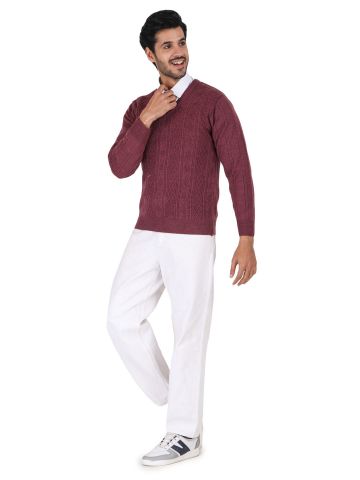 Sanskar Menswear-Sweater F/S-Onion